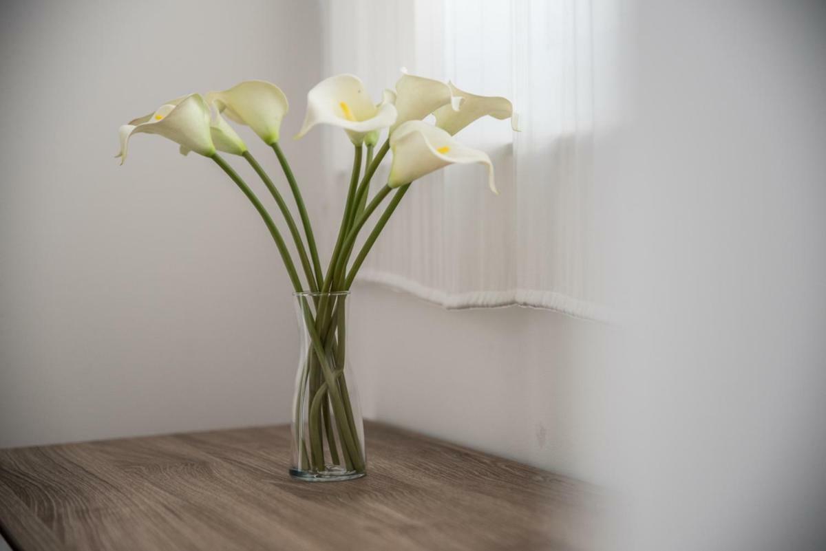 Apartmán Terrazzo Siciliano Riposto Exteriér fotografie